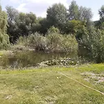 Am Mittelberg *